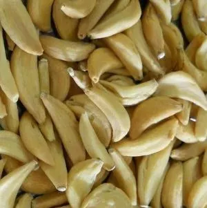 กลีบกระเทียมอบแห้ง