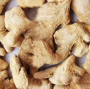 รากขิงอบแห้ง