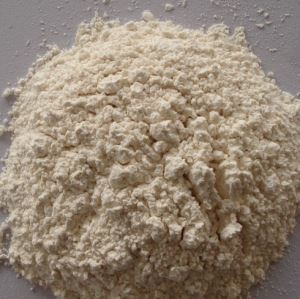 กลุ่มผงกระเทียมออร์แกนิก