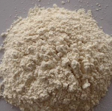 กลุ่มผงกระเทียมออร์แกนิก