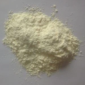 ผงกระเทียมออร์แกนิก